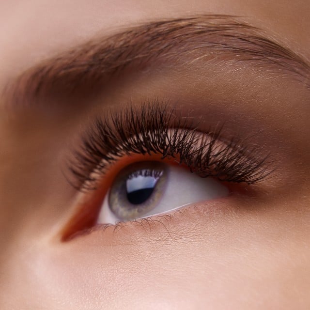 Classic Lash Set | $100